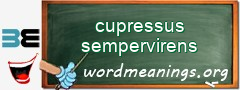 WordMeaning blackboard for cupressus sempervirens